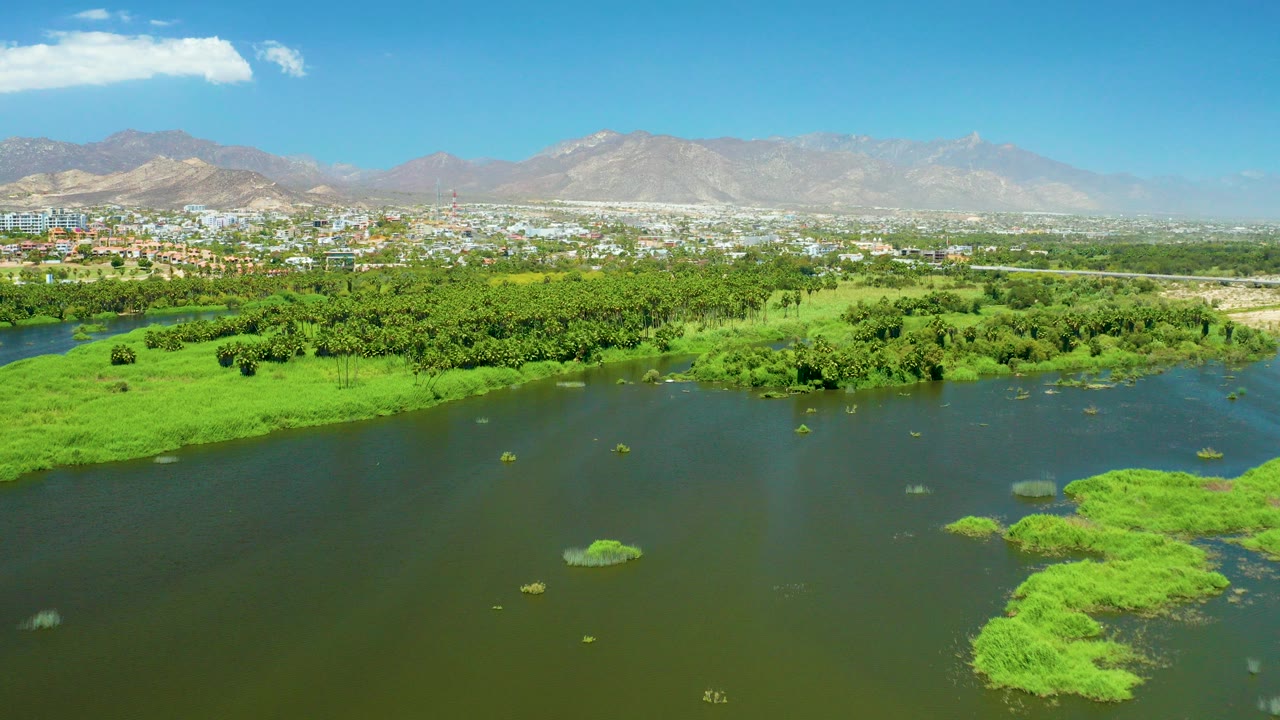 Opening aerial frame of the San Jose Del Cabo Estuary with green river water in front, floating vegetation, tree-lined banks, distant city buildings, mountains, blue sky, and no visible people.