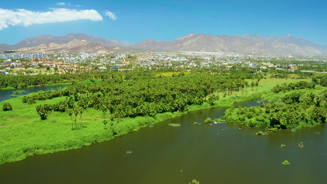 Aerial frame of San Jose Del Cabo Estuary showing dark green river water, bright grasses, a thick tree line, city buildings near the horizon, mountains, blue sky, and no visible people.