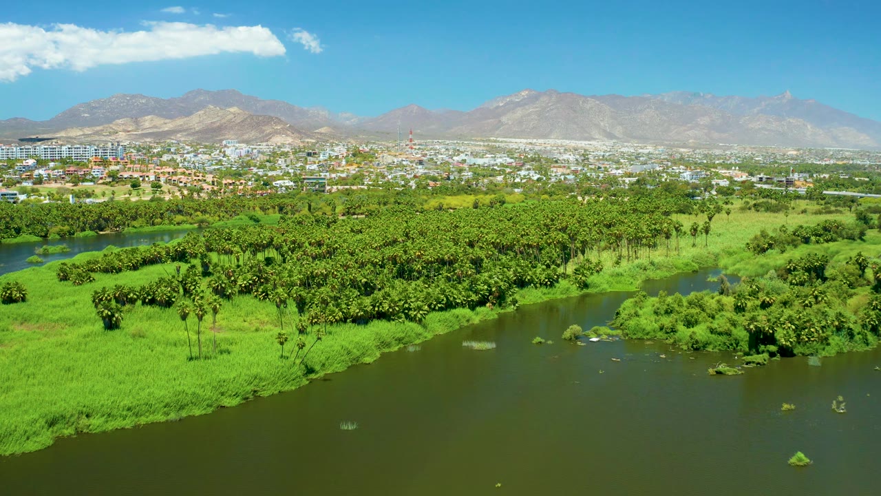 Wide aerial view in San Jose Del Cabo Estuary with river water along the lower frame, lush vegetation across the center, distant city blocks, dry mountains, and no visible people.