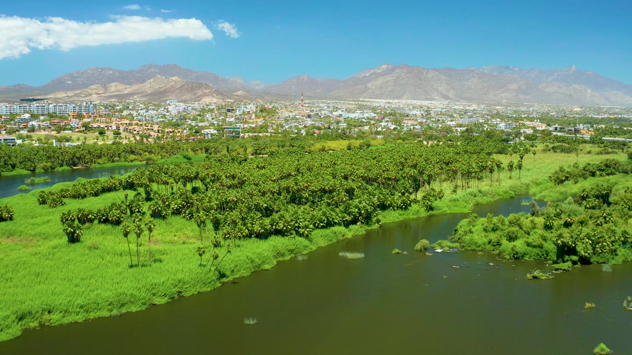 Aerial estuary view with water channel and city beyond trees