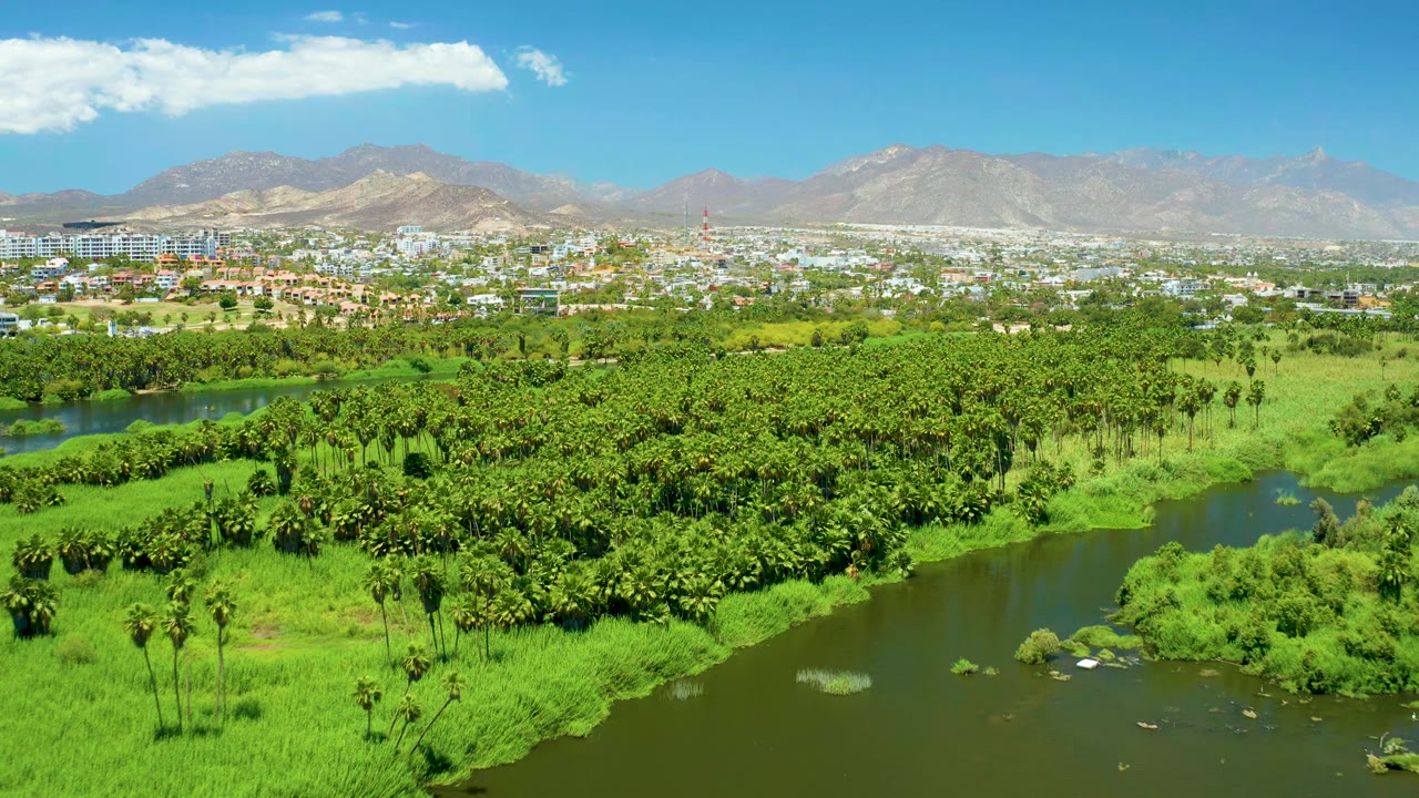 Aerial view over the San Jose del Cabo Estuary showing a winding river channel bordered by bright grass and dense trees, with low city development and mountains under a clear sky, no visible people.