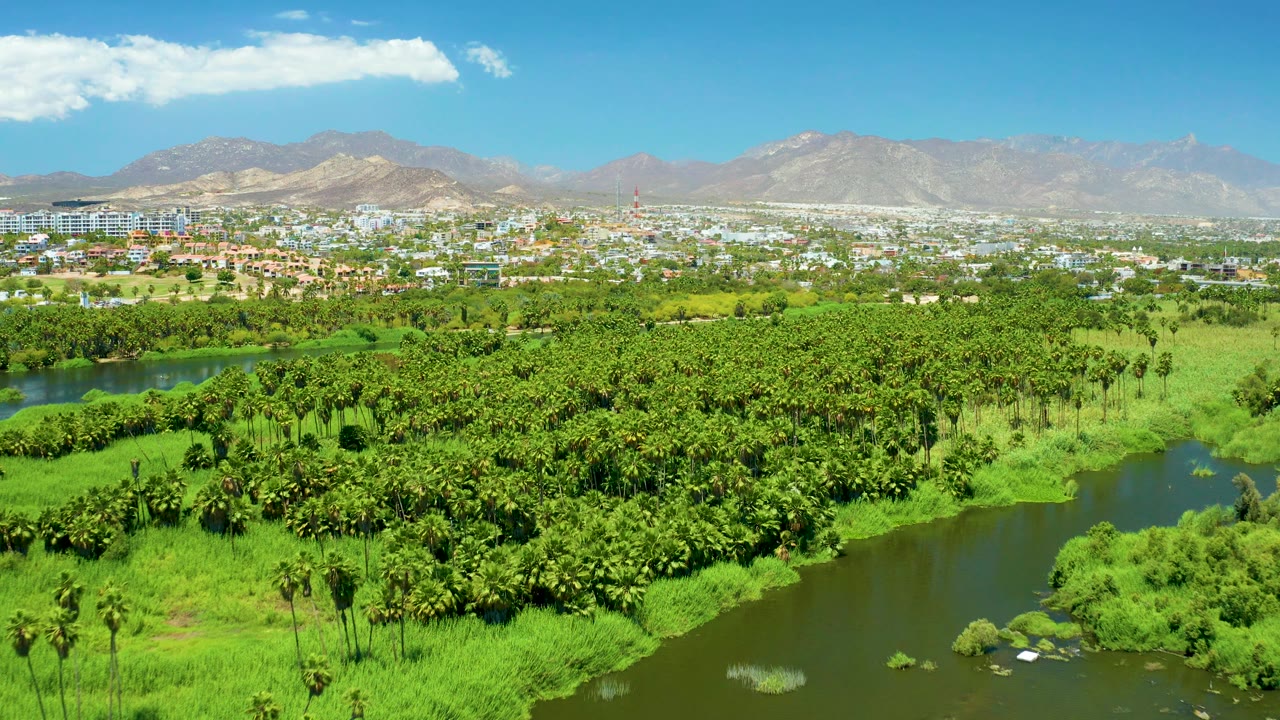 Wide frame from above the San Jose del Cabo Estuary showing dark water channels, dense green tree cover, a pale city strip, distant mountains, blue sky, white clouds, and no visible people.