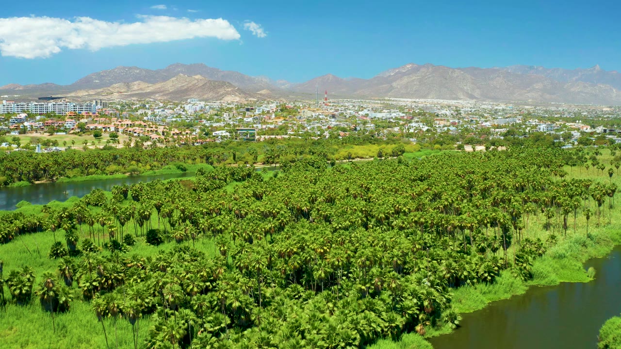 Second aerial frame of San Jose del Cabo Estuary showing thick palm vegetation, a darker river bend through the greenery, low city blocks, mountains, scattered clouds, and no visible people.