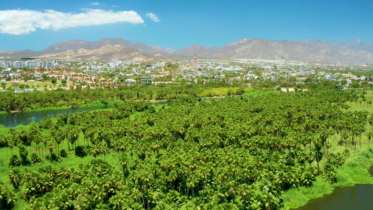 Fourth frame from the San Jose del Cabo Estuary aerial view, with river water at left, palms across the foreground, a spread of city buildings beyond, mountains on the horizon, and no visible people.