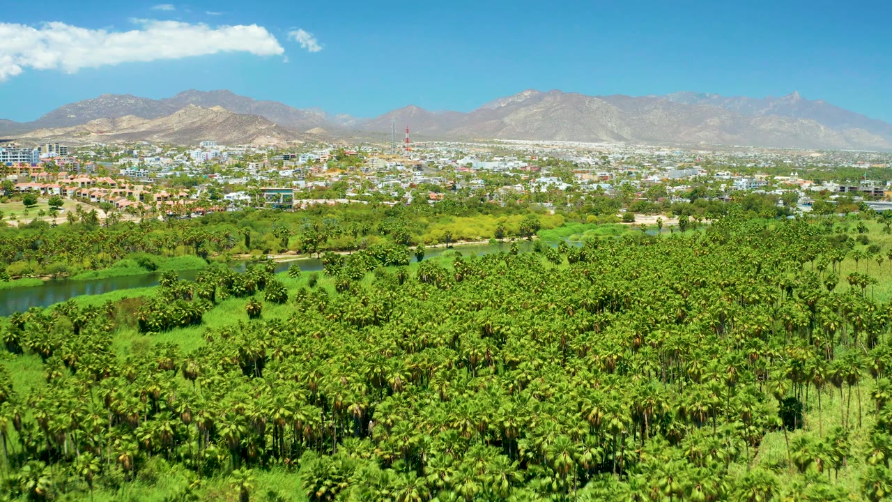 Mid-clip view of San Jose Del Cabo Estuary with the river visible through the palms, a bright city band before the mountains, drifting white clouds, and no visible people.