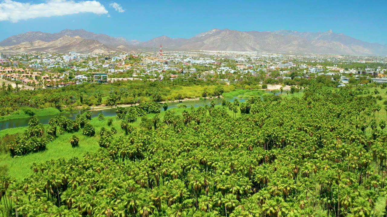 Wide aerial view of palm groves, river, town, and mountains under blue sky.