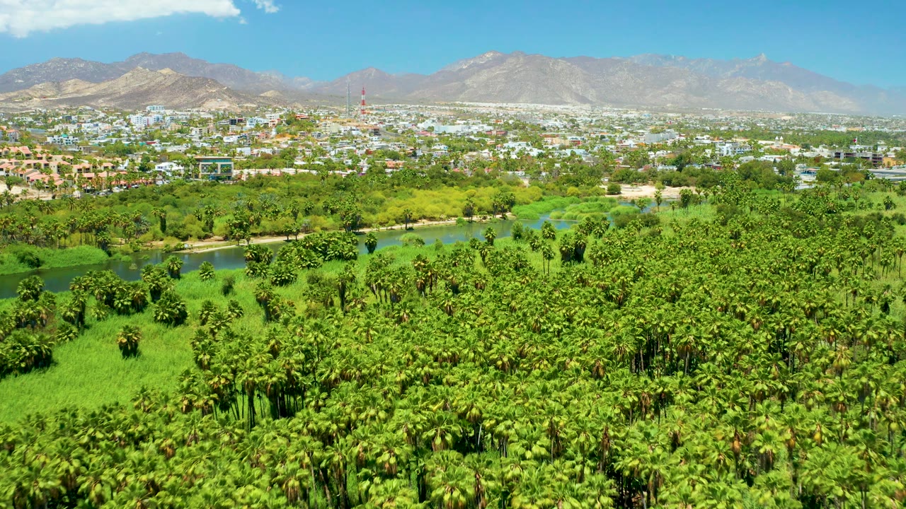 Mid-clip aerial frame from San Jose Del Cabo Estuary with palms filling the lower half, a blue-green river line across the middle, spread-out town buildings beyond, hazy mountains, and no visible people.
