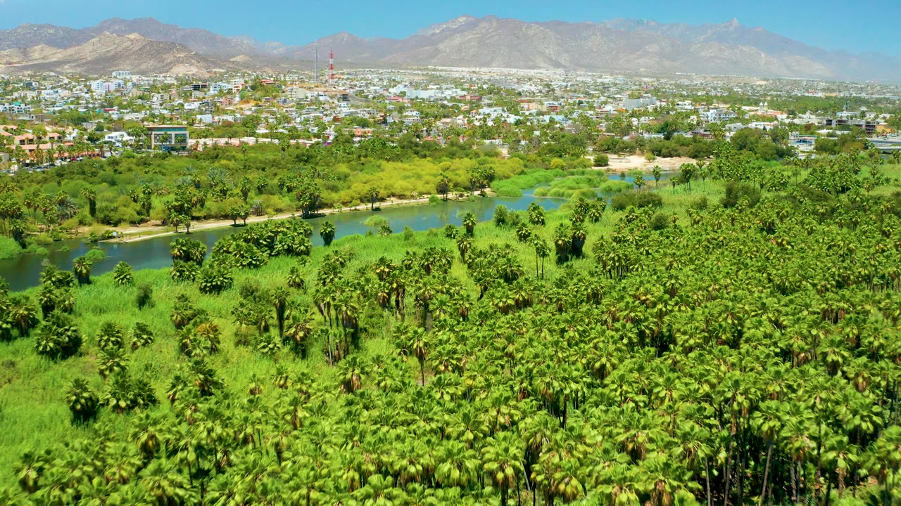 Opening aerial frame over San Jose del Cabo Estuary with dense green palms in front, a blue-green river channel midframe, town buildings and a red tower beyond, pale mountains on the horizon, and no visible people.