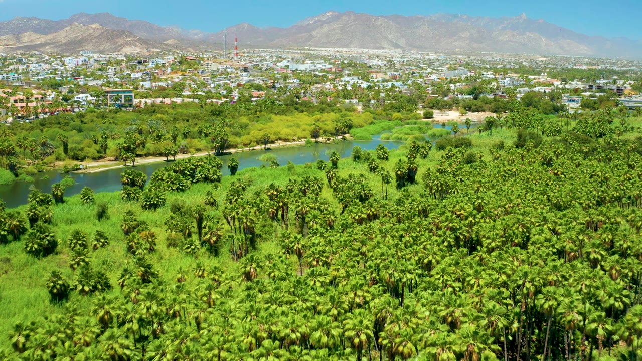 Green estuary vegetation with a river bend, town buildings, red tower, mountains, and sky.