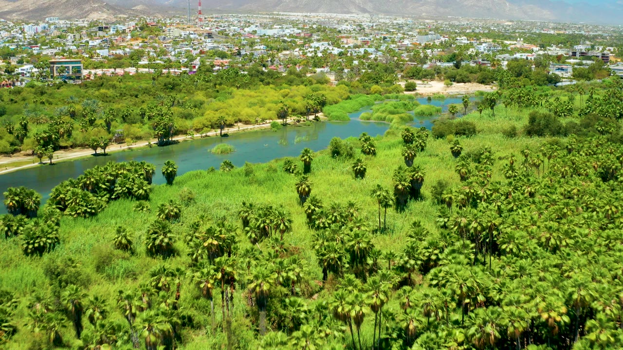 Opening frame of the San Jose Del Cabo Estuary showing dense green palms and grass around a blue-green river, with city buildings and hills in the distance and no visible people.