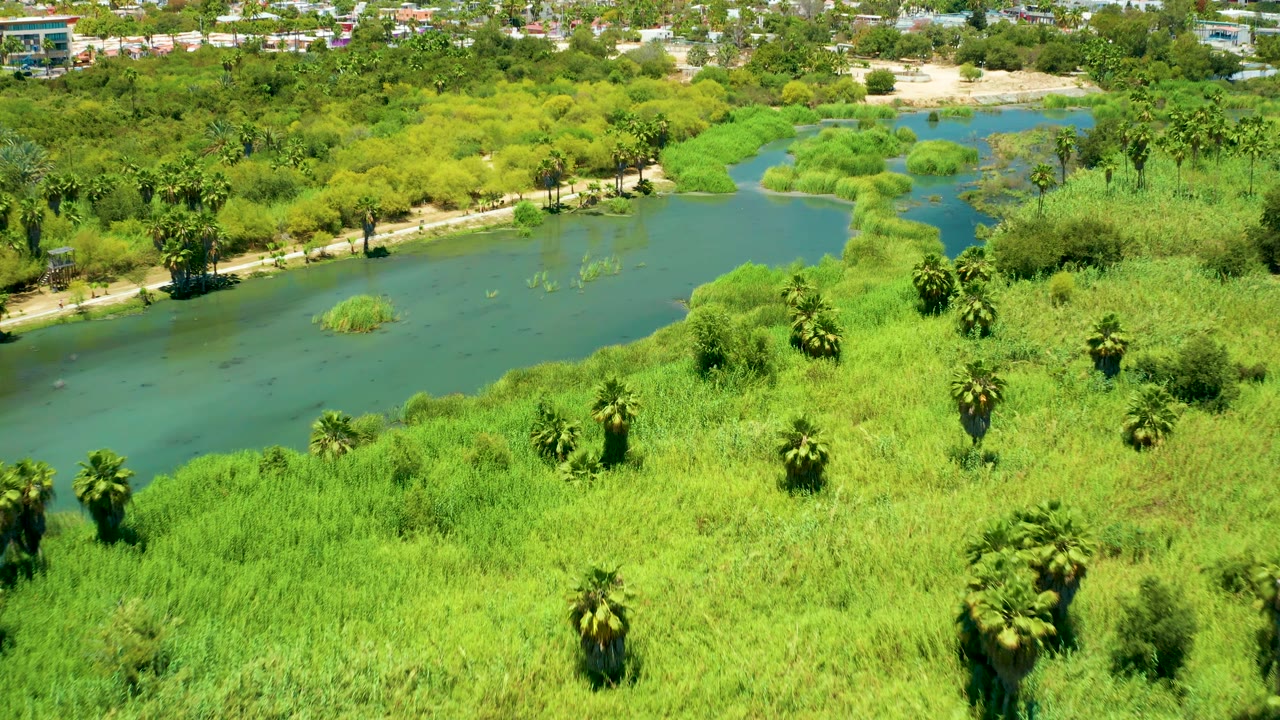 Aerial view of the San Jose Del Cabo Estuary with blue-green water on the left, thick bright grasses and palms across the foreground, town buildings in the distance, and no visible people.