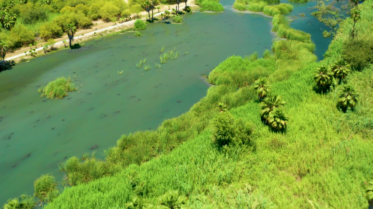 Overhead view of San Jose Del Cabo Estuary water beside dense green banks, small palms, and a pale path near the top edge, with no visible people.