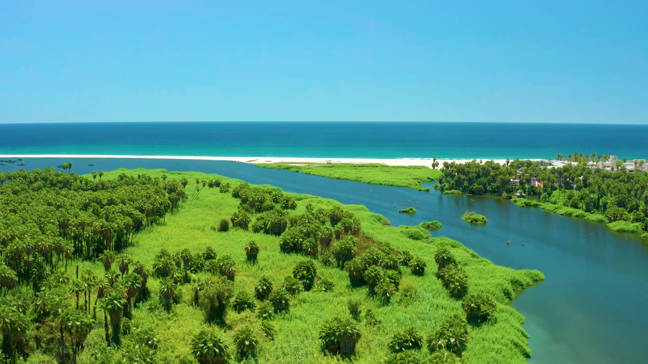 Opening aerial frame over the San Jose Del Cabo Estuary, with dense green wetland vegetation, a dark river channel, pale beach, blue ocean, clear sky, and no visible people.