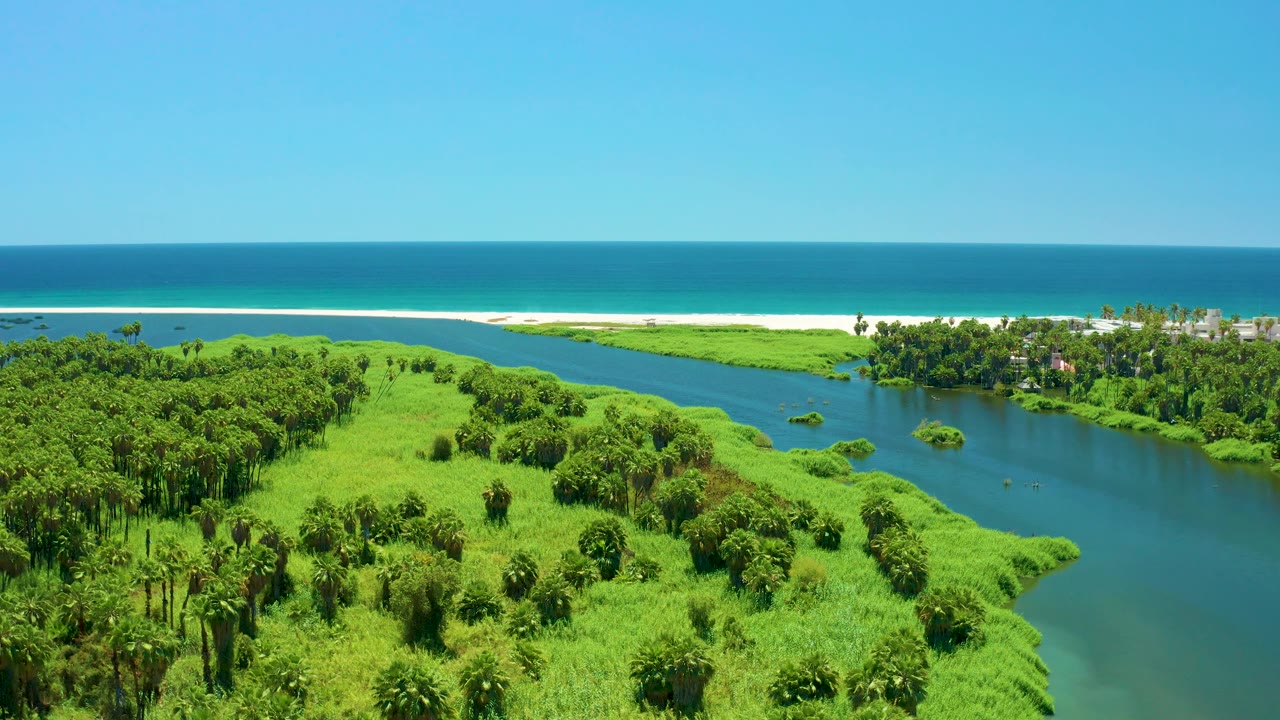 Aerial coastal wetland with dark river water and blue ocean beyond