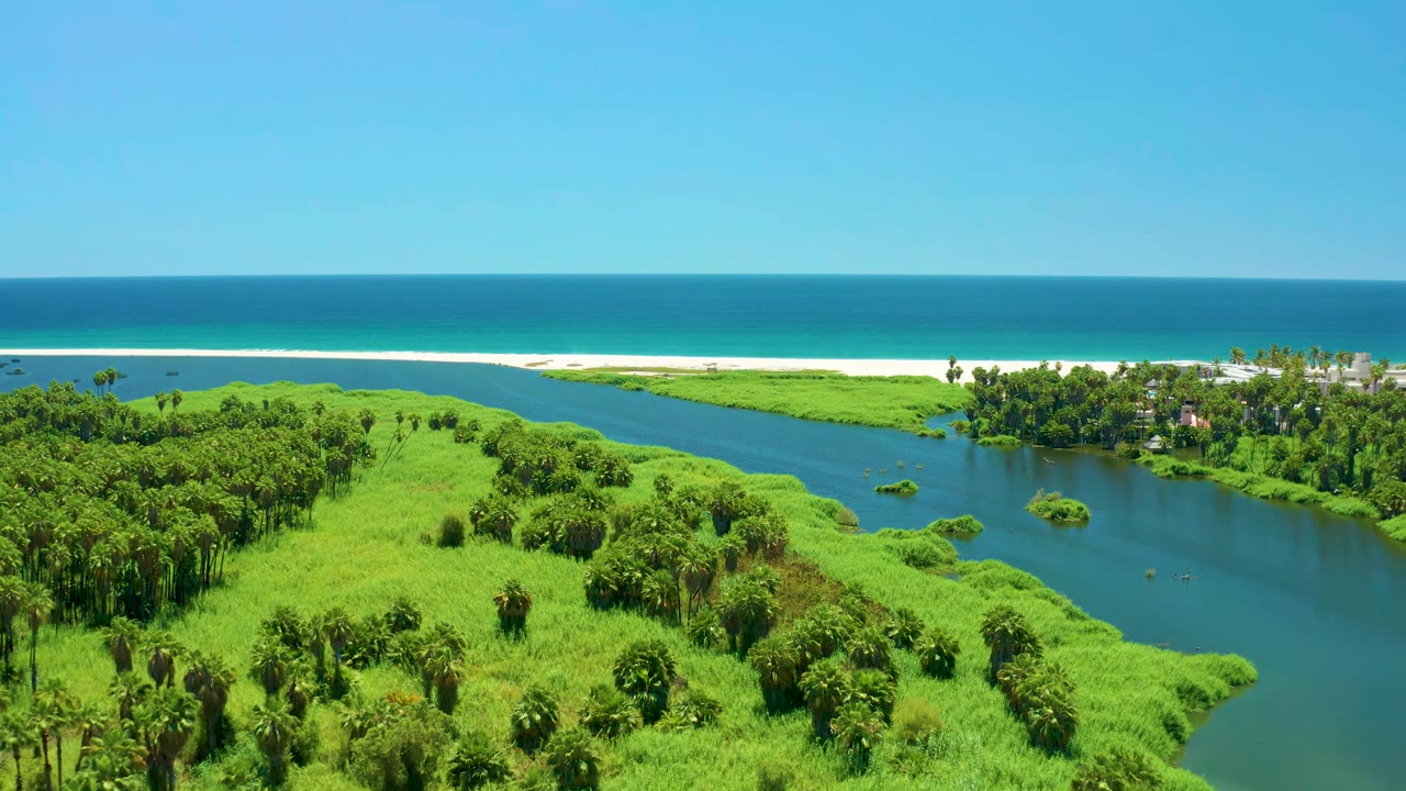 Aerial view over bright green estuary vegetation with river water curving toward the ocean.