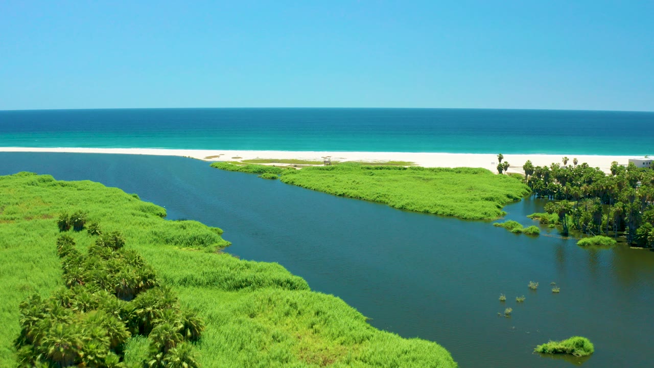 Aerial frame over the San Jose del Cabo Estuary, with blue-green river water in the foreground, dense green banks, a white sandy beach, turquoise ocean, clear sky, and no visible people.