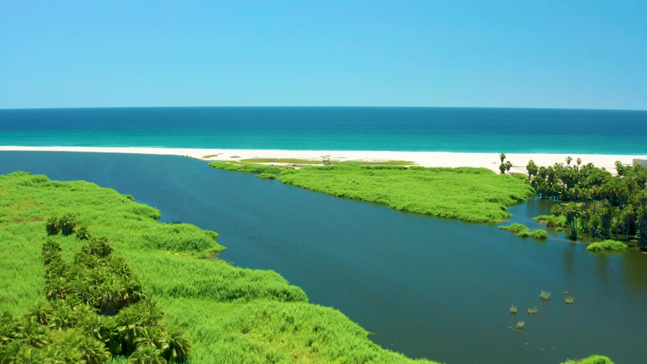 Aerial frame over San Jose del Cabo Estuary with a broad blue-green river, thick vegetation on both banks, a pale sand strip, ocean water beyond, and no visible people.