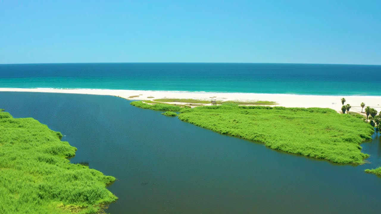 Aerial frame over San Jose del Cabo Estuary with dense green vegetation across the lower right, dark river water to the left, a white sandy beach and surf line across the middle, and no visible people.