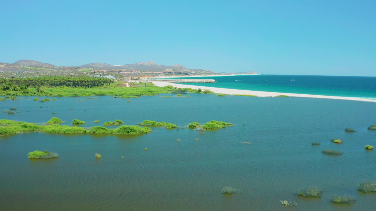 Aerial frame from San Jose Del Cabo Estuary showing scattered green vegetation mats across shallow water, with a bright sandbar-like beach, blue ocean, low hills, and no visible people.
