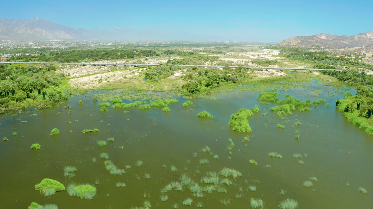 Aerial view over green floodwater with vegetation patches, trees, road, mountains, and blue sky.