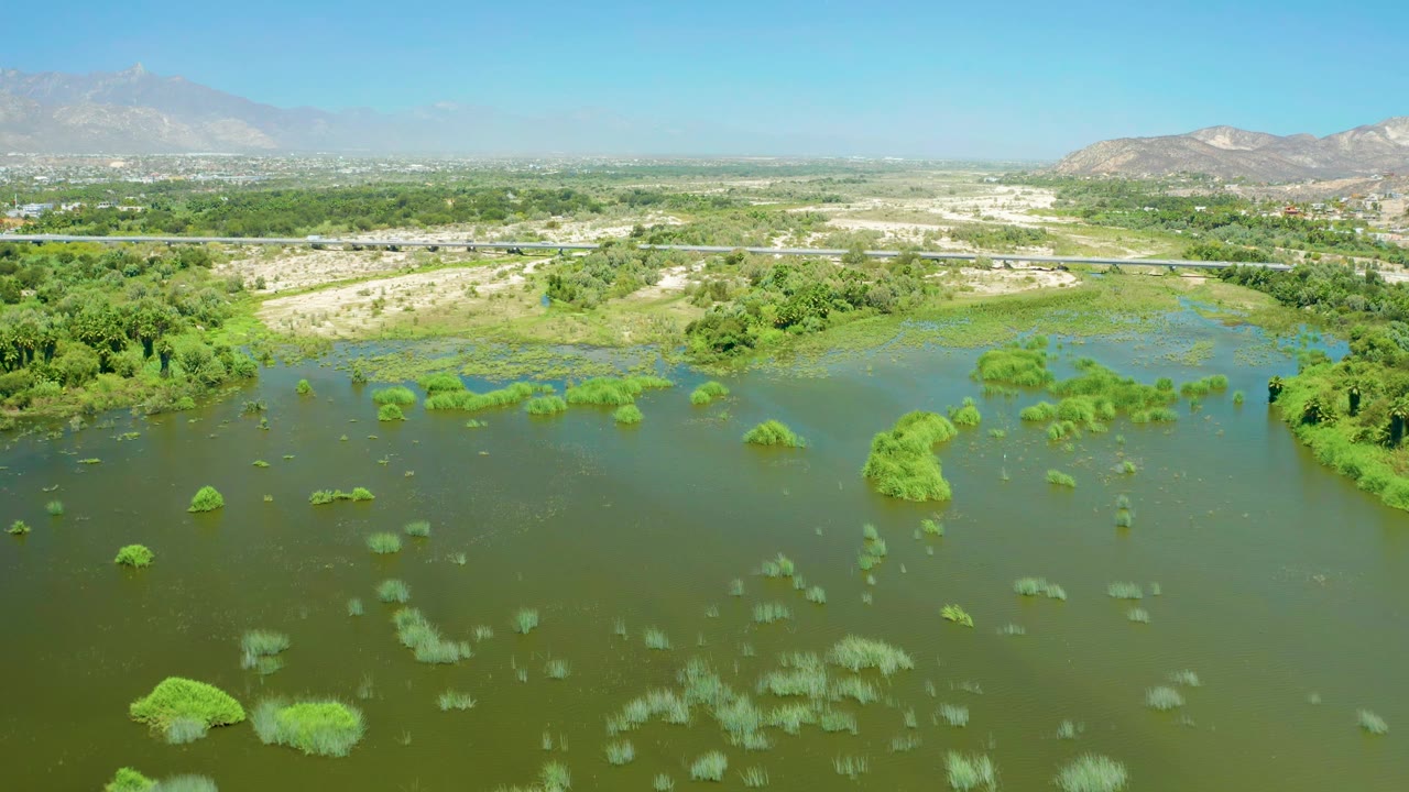 Aerial view one second into the San Jose Del Cabo Estuary clip, showing calm green water, scattered plant islands, dense trees at midframe, a pale road line, distant mountains, and no visible people.