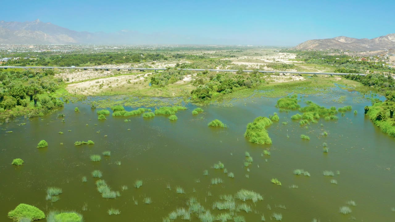 Mid-clip aerial frame of the San Jose Del Cabo Estuary, placing open green water in the foreground, larger shrubs near the center, trees and road across the middle distance, mountains beyond, and no visible people.