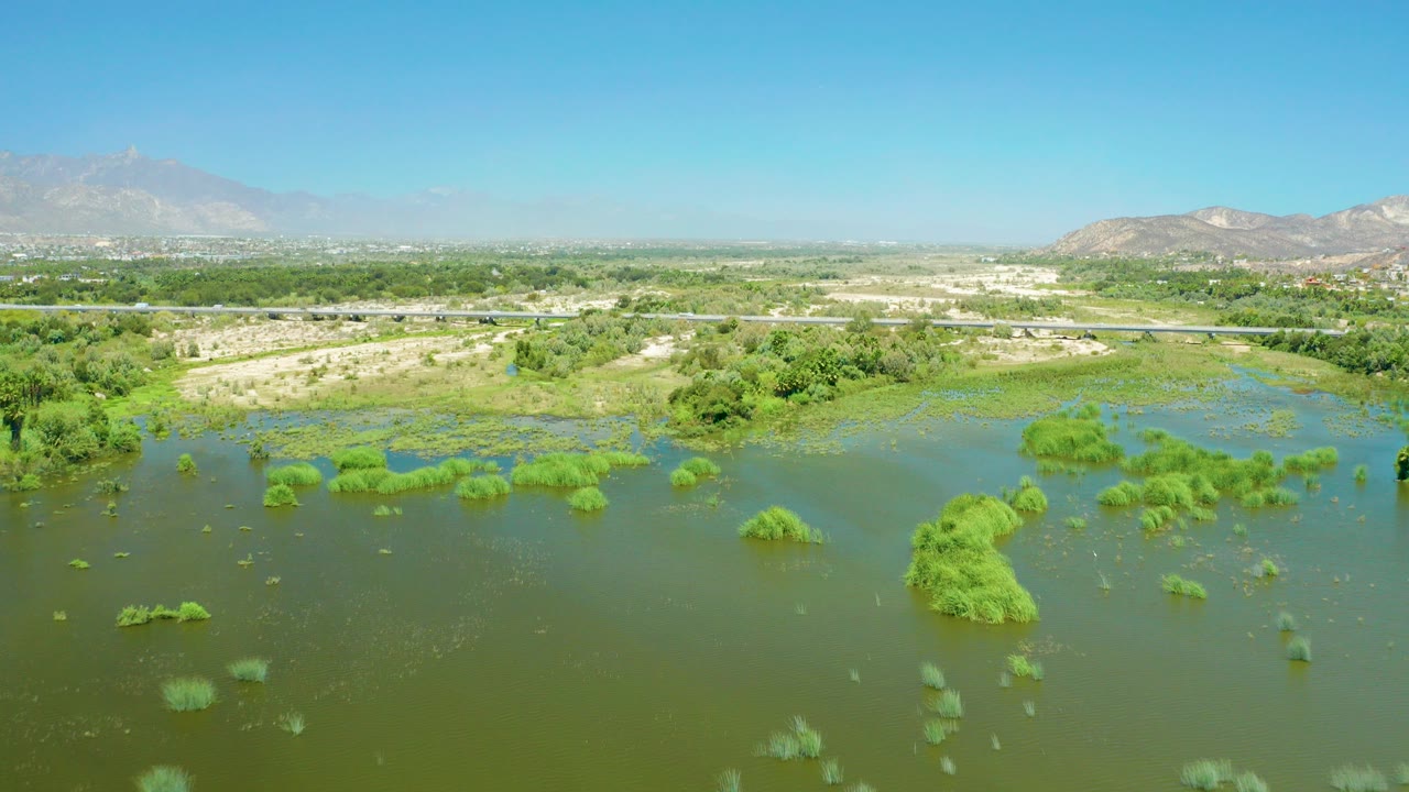 Wide aerial view over flooded vegetation patches in the San Jose del Cabo Estuary, with a road, distant buildings, hazy mountains, clear blue sky, and no visible people.
