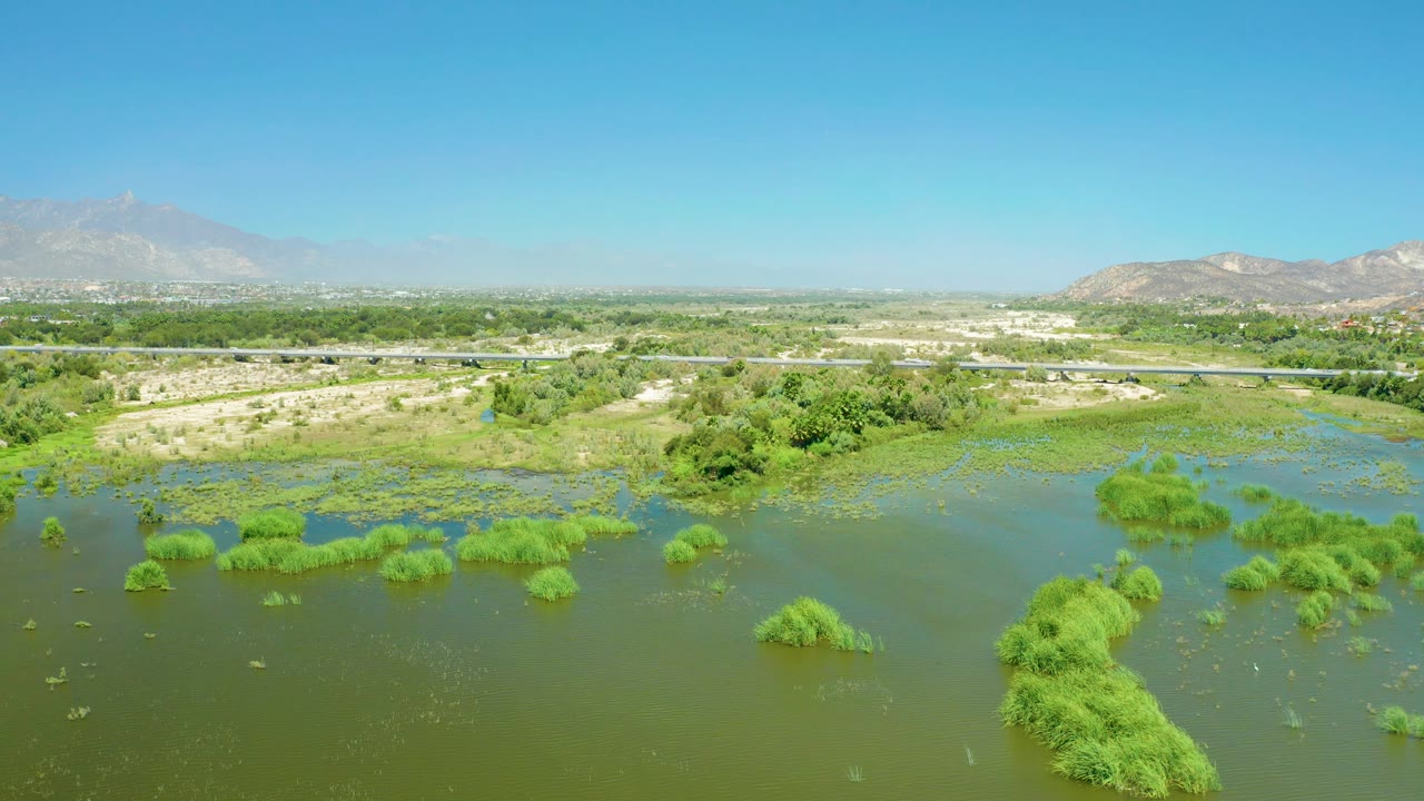 San Jose del Cabo Estuary aerial with reeds and green water in the lower frame, a highway crossing the midground, a low tree line, mountain slopes, and no visible people.