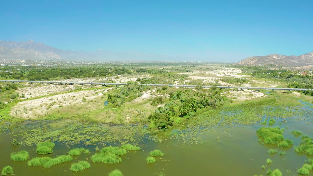 Early aerial frame over San Jose del Cabo Estuary with reed clusters and lily pads across green water, sandy banks beyond, a bridge crossing the midground, distant mountains, and no visible people.
