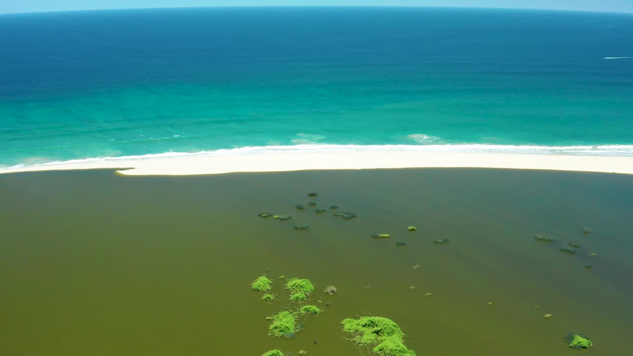 San Jose Del Cabo Estuary from above, with the wave foam stretched across the beach, open blue water beyond it, green-brown lagoon shallows below, foreground vegetation, and no visible people.