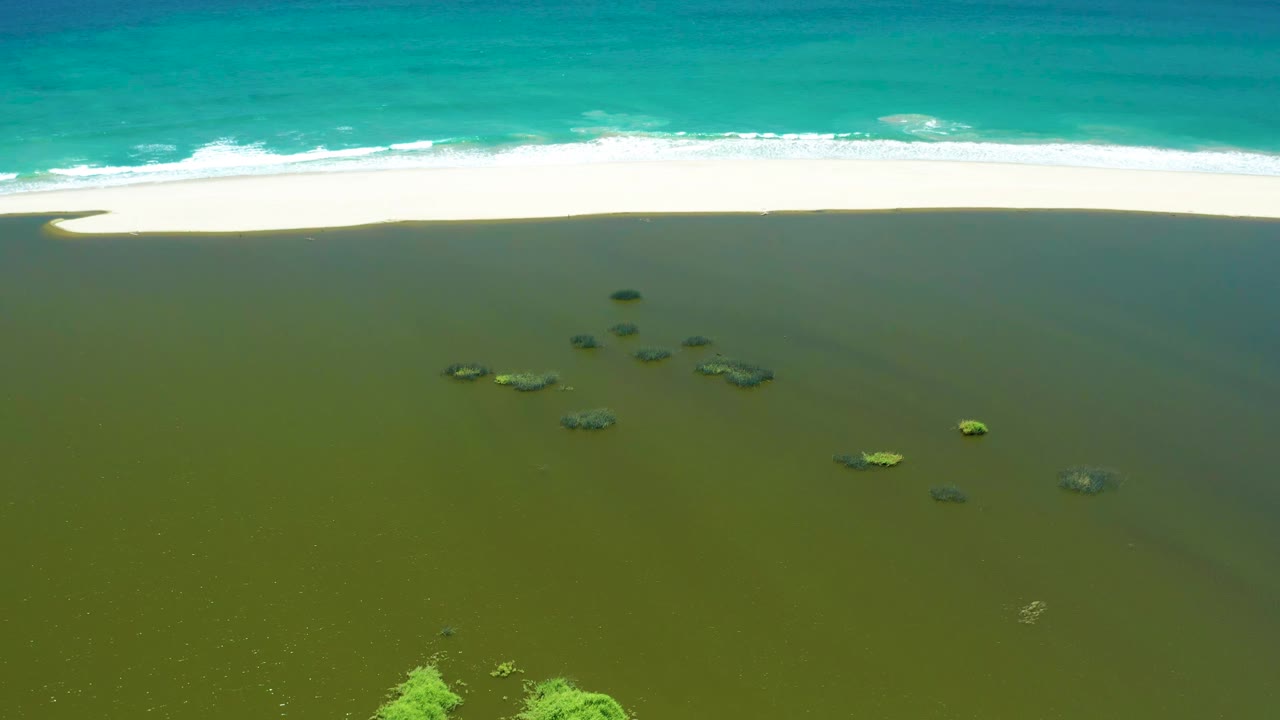 At 0:01, the San Jose Del Cabo Estuary shoreline remains framed from above, with algae patches centered in green water, bright sand near the top, rolling turquoise surf, and no visible people.