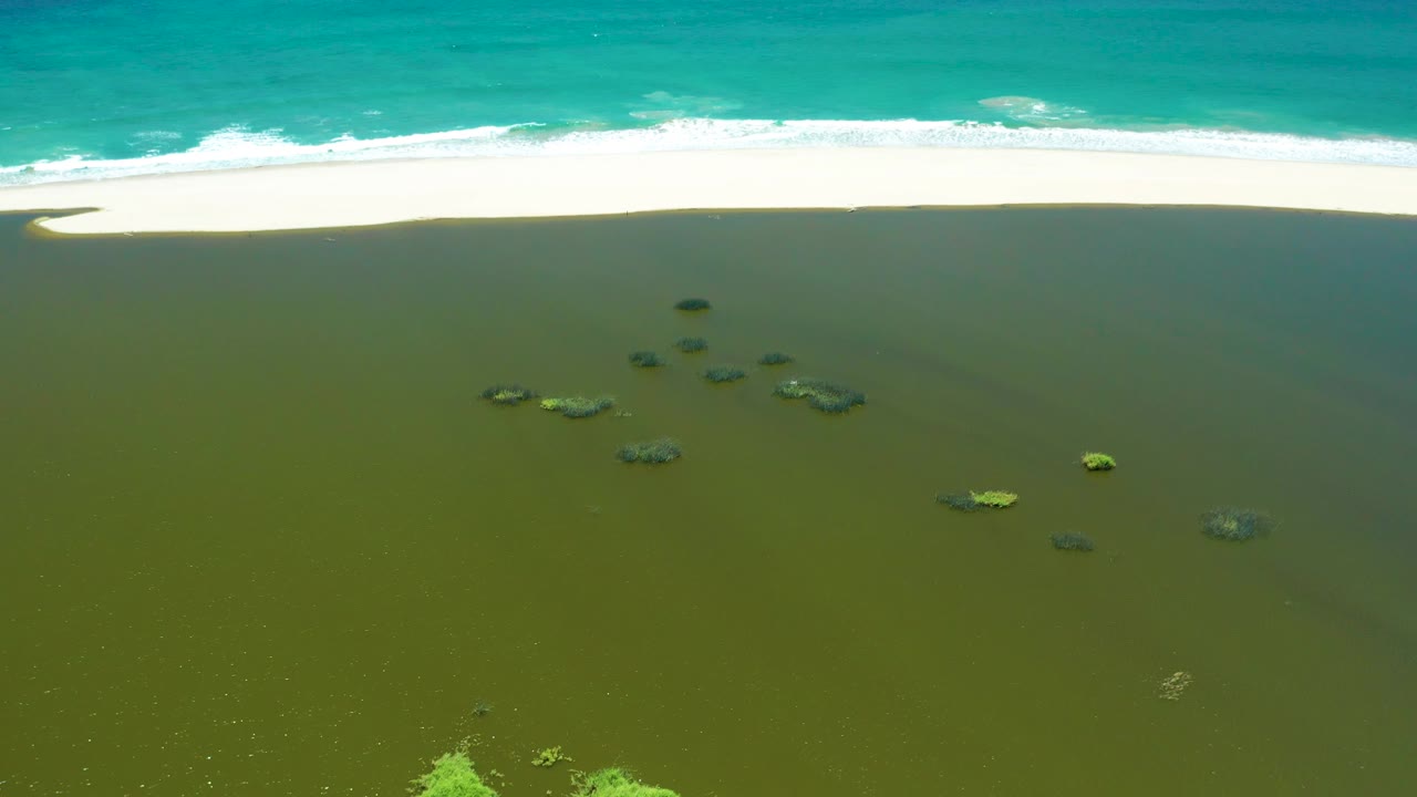 At 0:02, scattered algae patches sit in the midframe of shallow San Jose Del Cabo Estuary water while a smooth white sand bar and foamy turquoise waves run across the upper edge, with no visible people.