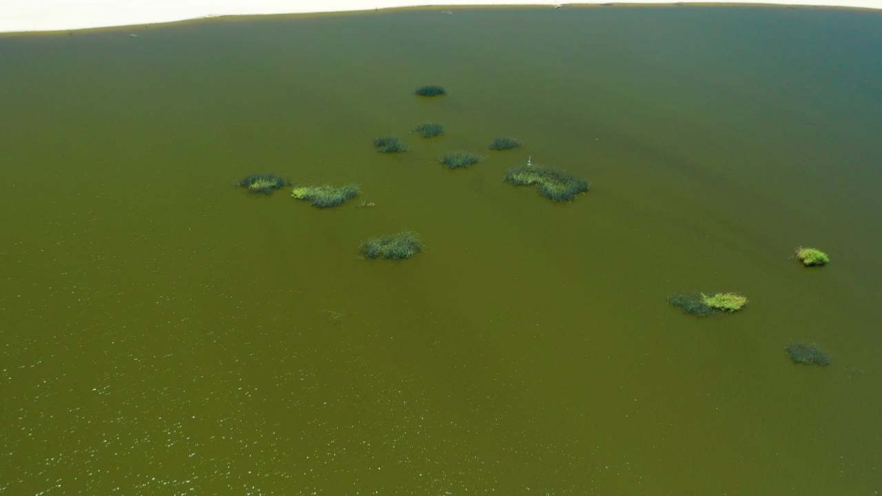 Aerial view of green water with scattered floating algae patches.