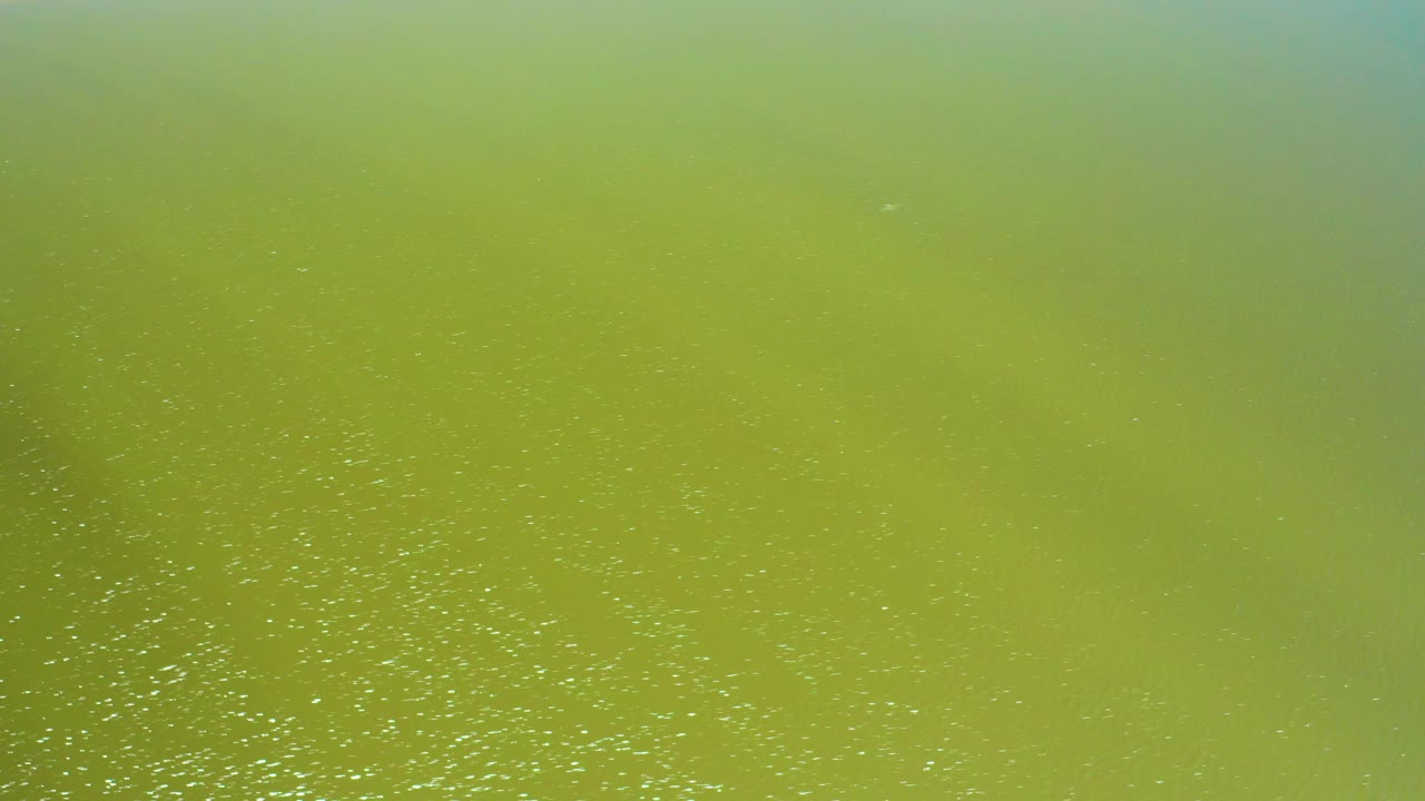 Mostly green water surface with sparse white particles and soft color variation.
