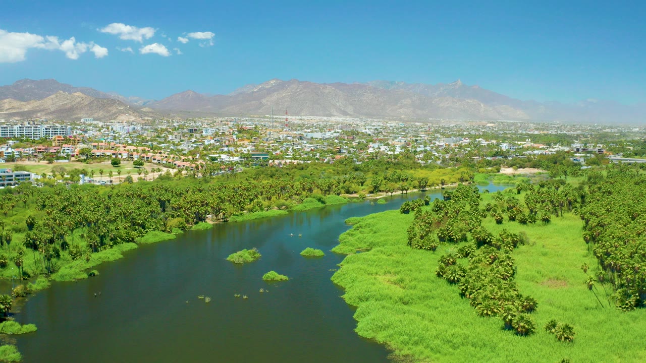 Opening aerial frame of the San Jose del Cabo Estuary, with dark river water at left, bright green marsh grass at right, dense palms, distant city buildings, mountains, and no visible people.
