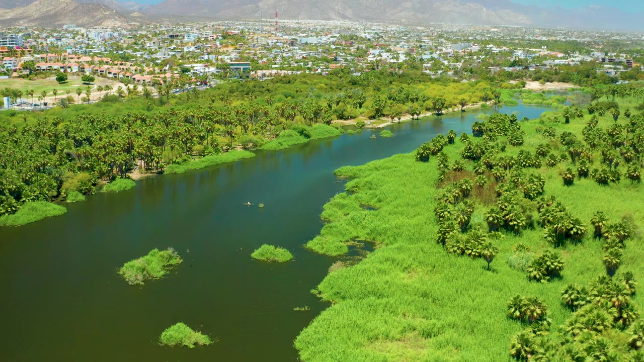 Aerial view of river water with bright green banks, tree cover, city buildings, and mountains.