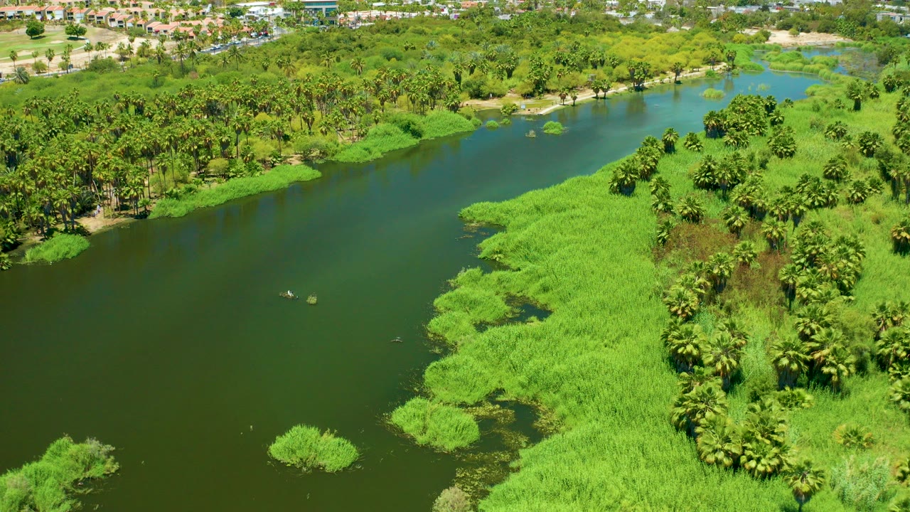 Aerial frame over San Jose del Cabo Estuary showing dark green river water, thick bright vegetation on the right bank, distant buildings at the top edge, and no visible people.