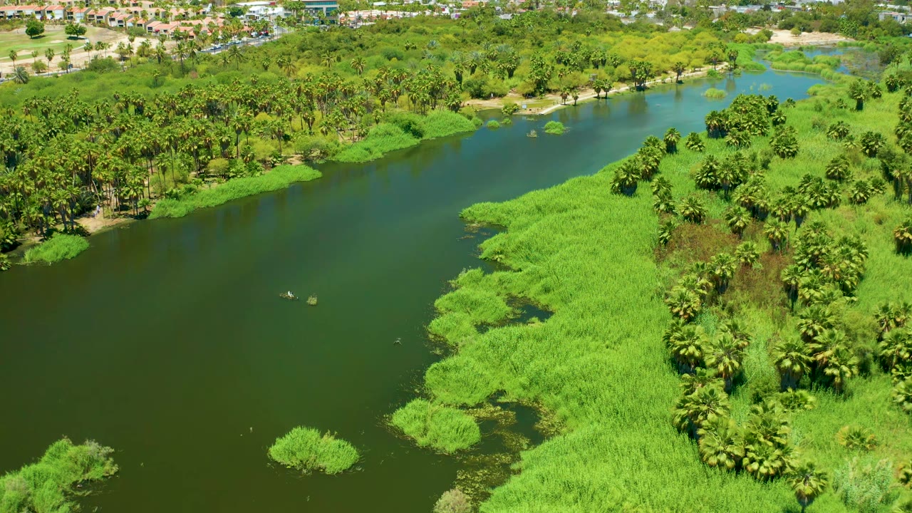 Aerial view of San Jose del Cabo Estuary with the river curving through bright green reeds and trees, two small boats near the center-left water, and no visible people.