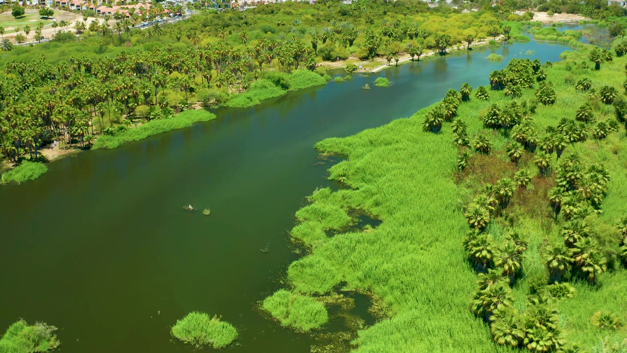 San Jose del Cabo Estuary seen from above with a broad dark river on the left, scalloped mats of bright vegetation along the bank, tree clusters on the right, and no visible people.