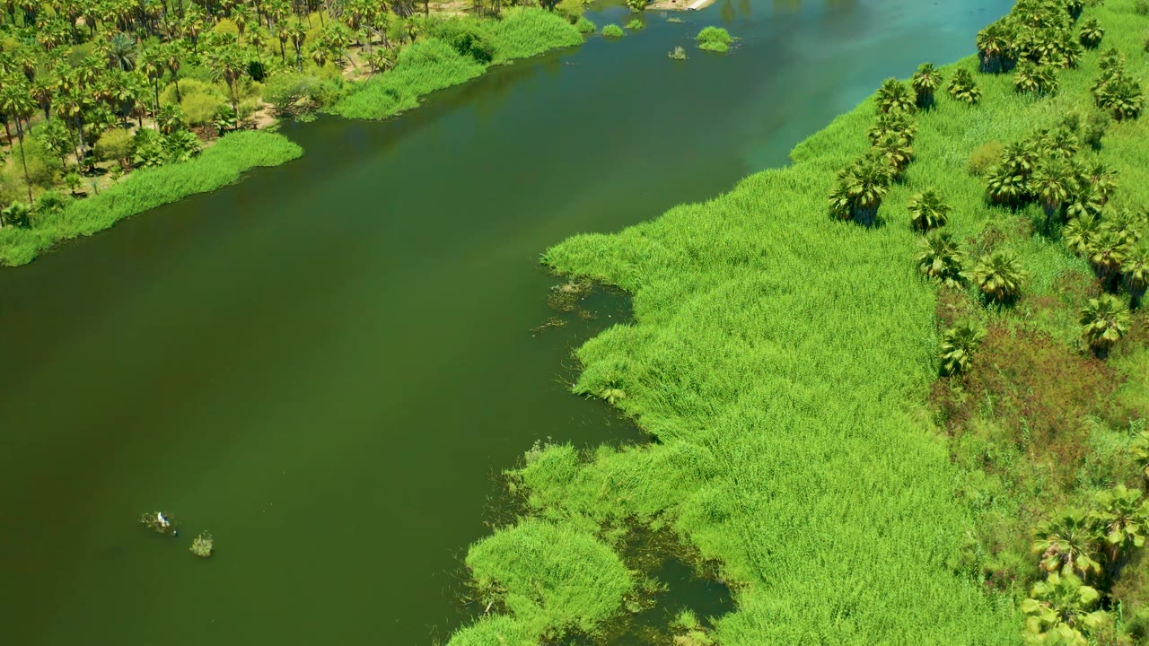 The aerial frame shows the boat farther along the green estuary water, with floating vegetation nearby and a thick grassy shoreline on the right, no visible people.
