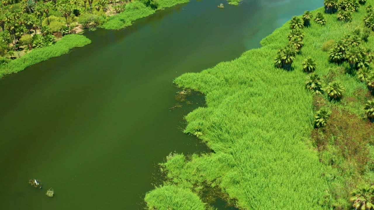 Overhead view of the San Jose Del Cabo Estuary with a broad green water channel on the left, dense grasses and palms on the right, and no visible people.