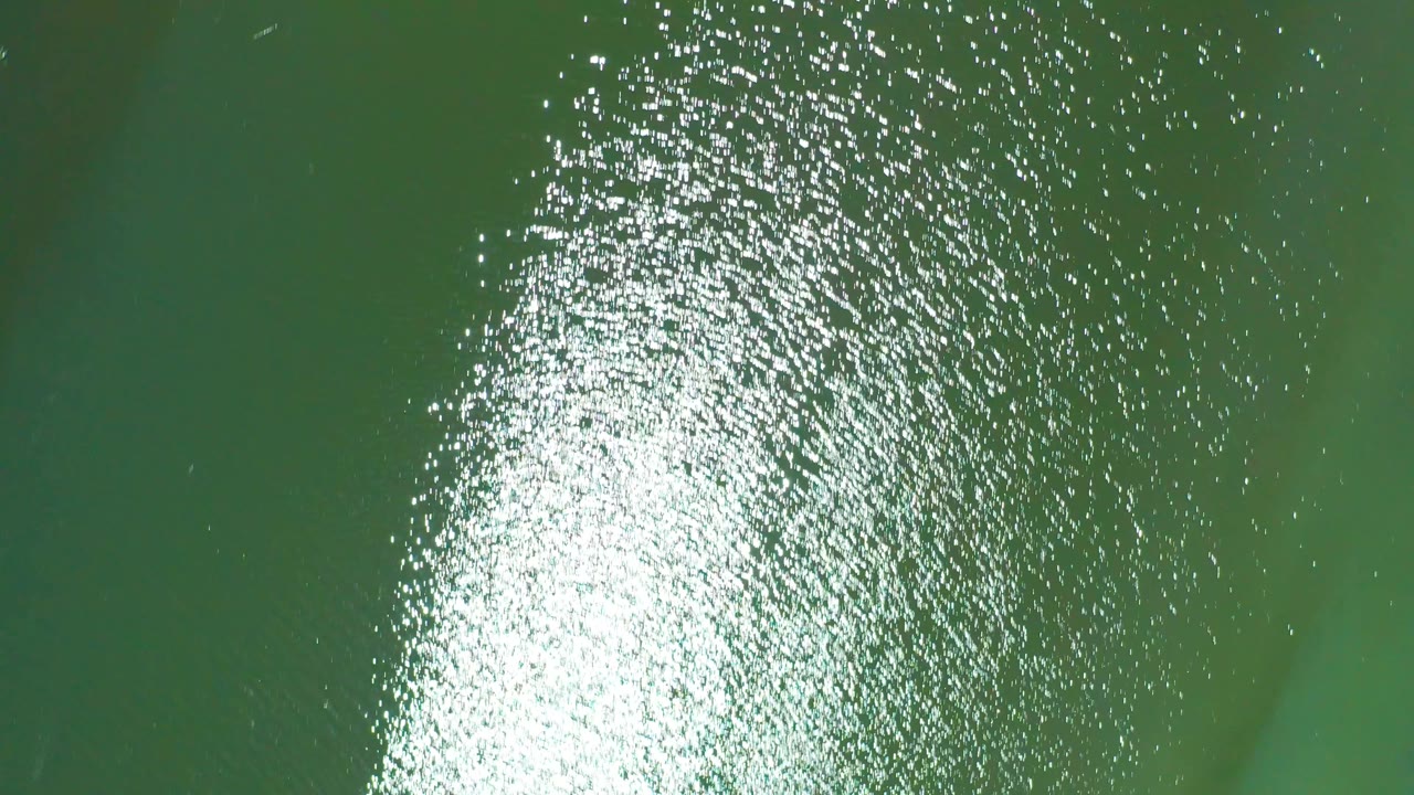 Top-down view of green water in San Jose Del Cabo Estuary with a large bright sun reflection, fine ripples, and no visible people.