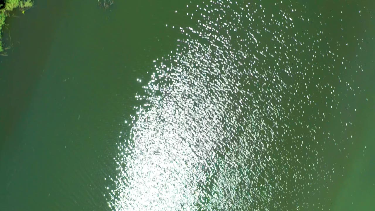 Aerial view over green estuary water in San Jose Del Cabo with bright glare, rippled surface, a small strip of vegetation at the top edge, and no visible people.
