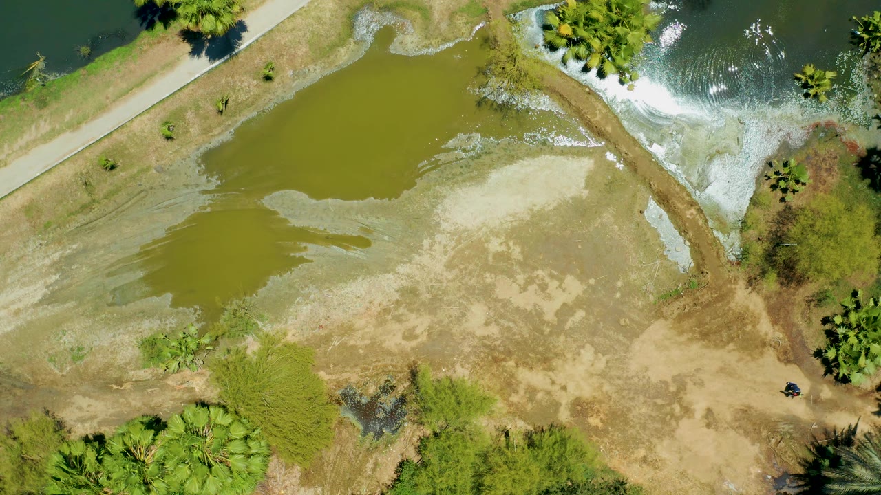 Top-down frame from San Jose del Cabo Estuary shows green pond water receding from light brown mud, darker river water beyond the path, scattered trees, palms, and no visible people.