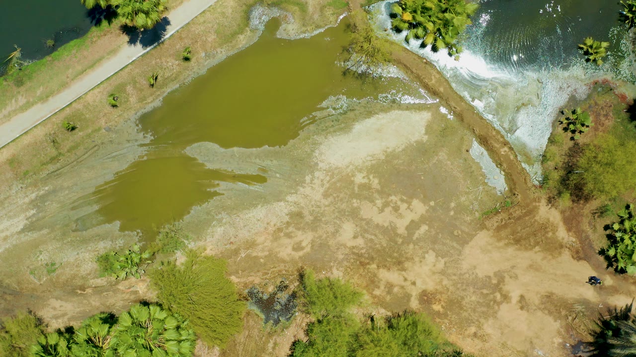 Overhead mudflat and green pond water bordered by trees and a narrow path.