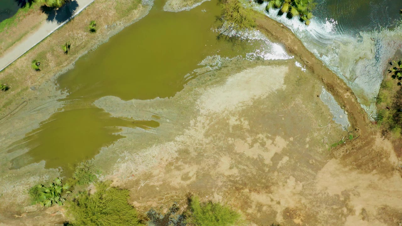 Aerial frame from San Jose del Cabo Estuary with greenish water at left, a pale muddy shoreline below, white foam near the upper bank, sparse vegetation, and no visible people.