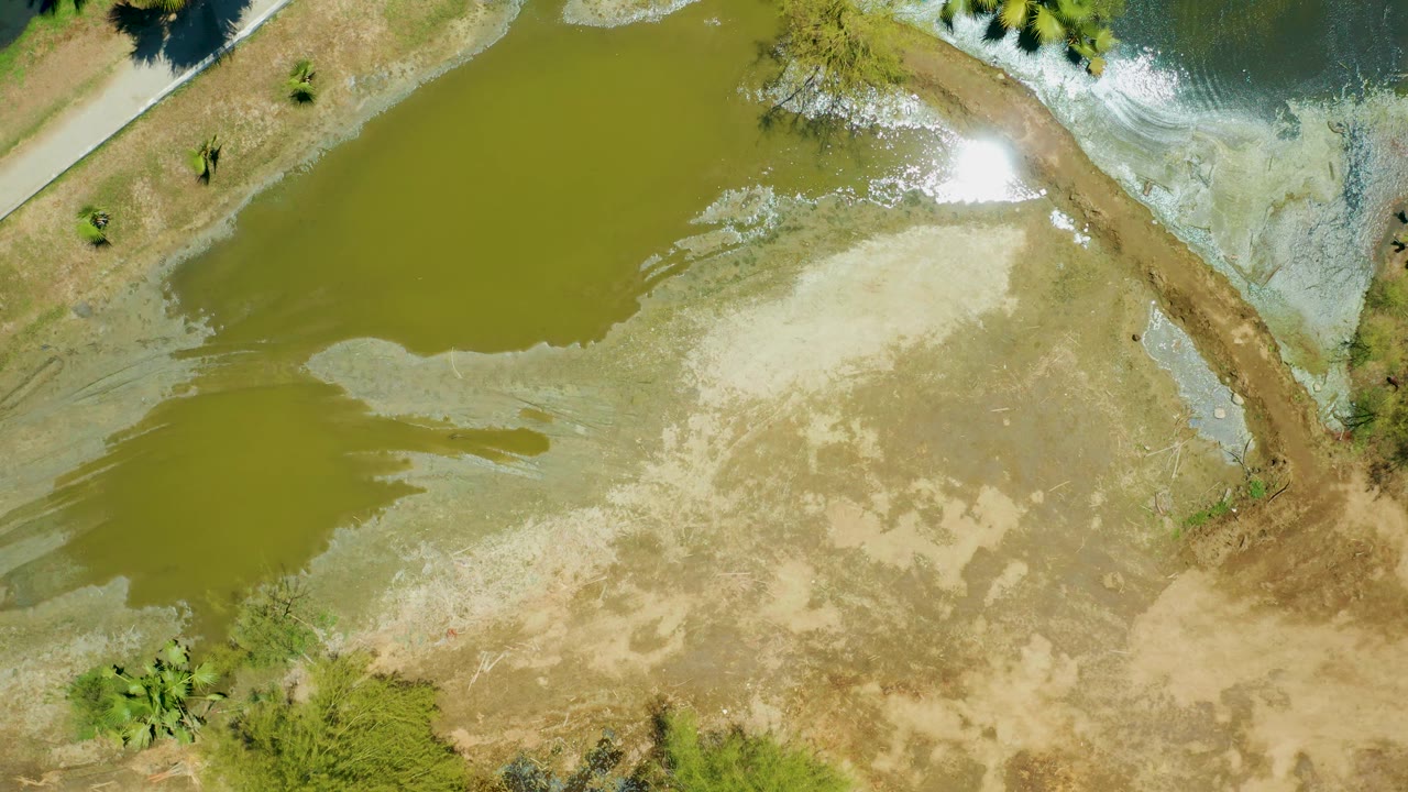Top-down San Jose del Cabo Estuary frame showing a curved embankment between green water and shallow rippled water, with small trees and no visible people.