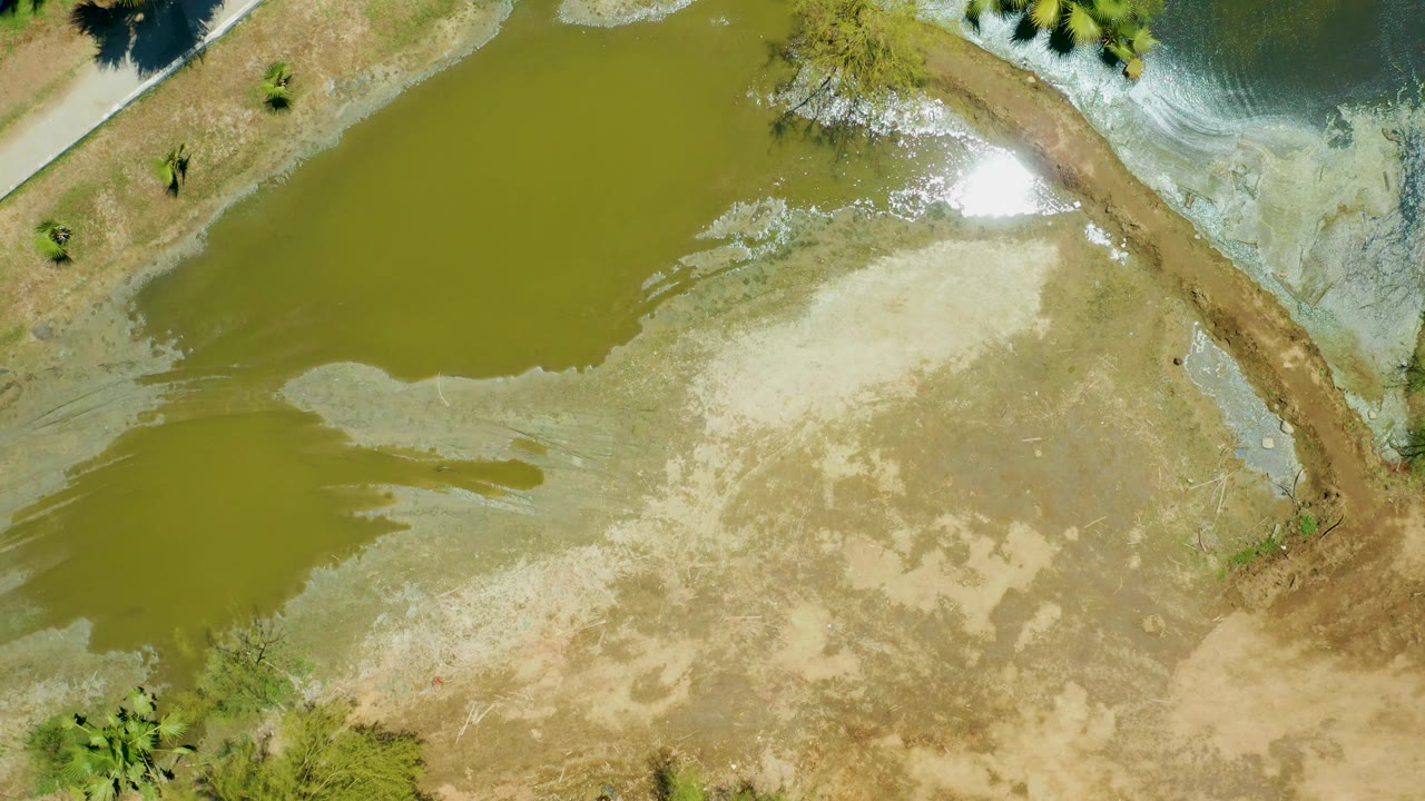 Overhead San Jose del Cabo Estuary frame with the green pond shifted across the upper left, pale exposed ground below, a dirt bank at right, bright foam, and no visible people.