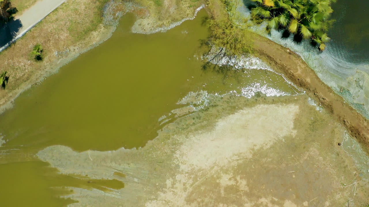 Overhead view of San Jose Del Cabo Estuary with olive green water, pale exposed mud, a narrow path near the upper left, scattered brush, and no visible people.