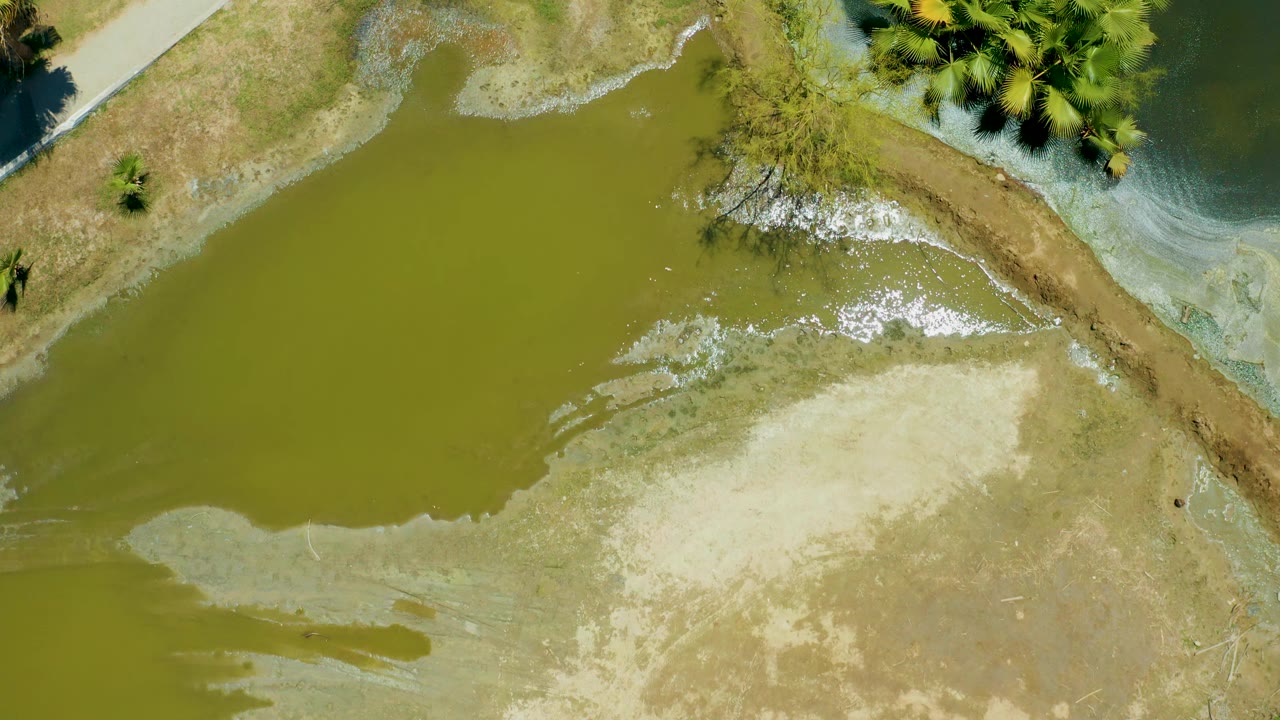 Aerial frame from San Jose Del Cabo Estuary showing green water covering the left side, a broad pale mud flat below, brush along the bank, and no visible people.